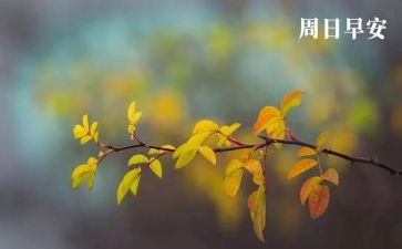 周末的快乐作文400字6篇
