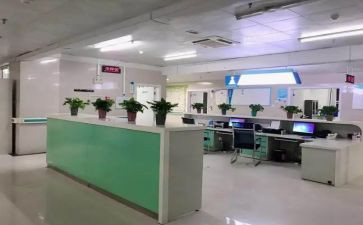 专科段自我鉴定推荐5篇
