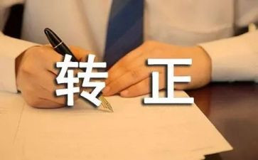 转正老师的自我鉴定优质6篇