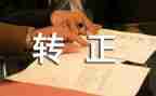 出纳的转正申请书6篇