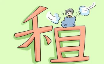 转租赁合同模板最新5篇
