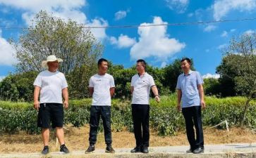 驻村工作干部述职报告6篇