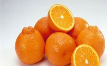 描橘子的作文5篇