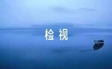 驻村工作自检自查报告6篇