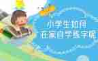 大专自学考试自我鉴定5篇