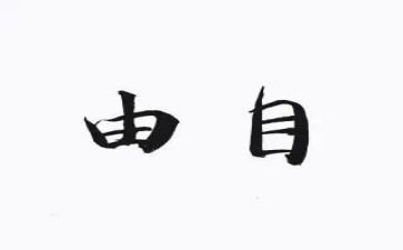 自由的教案8篇