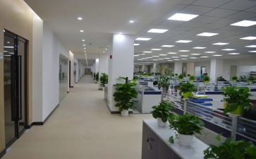 镇组织室工作总结参考8篇